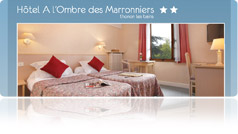 Hotel Les Marronniers Thonon Les Bains